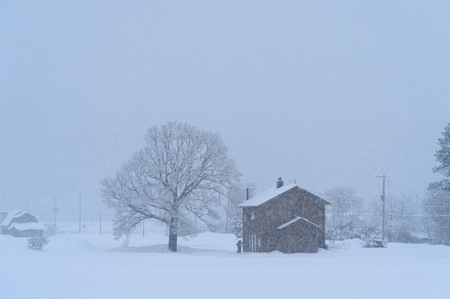 HOUSE&HUOSE｜道北の家Ⅳ