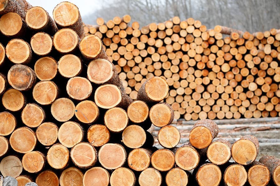 HOUSE&HOUSE｜森からはじめる家づくり