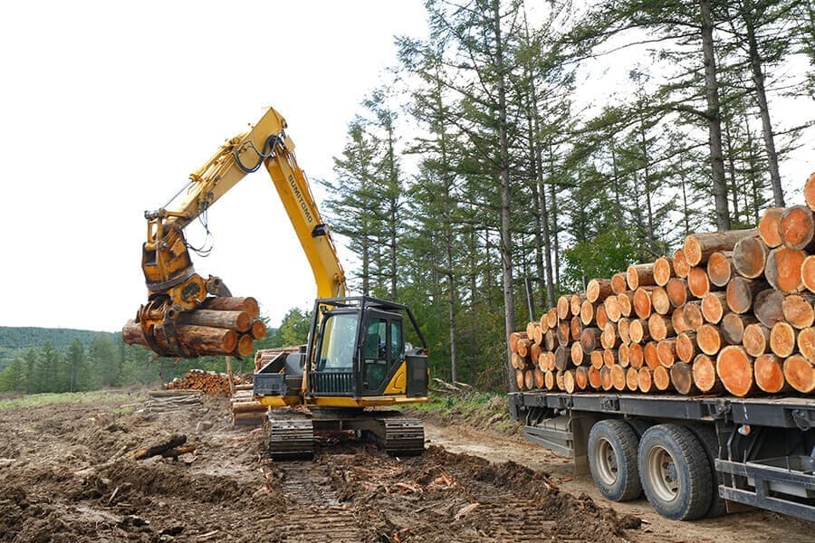 森からはじめる家づくり