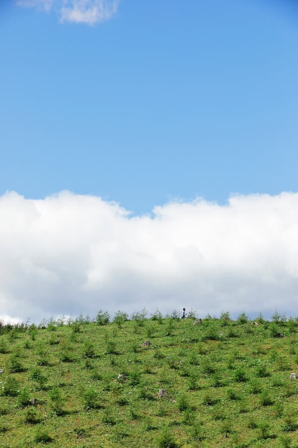 森を育てる家づくり