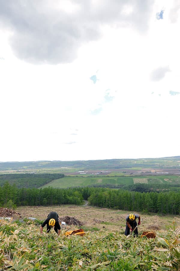 森を育てる家づくり