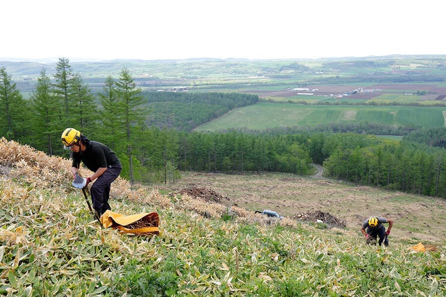 HOUSE&HOUSE｜森を育てる家づくり