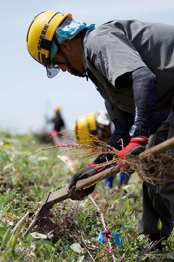 森を育てる家づくり